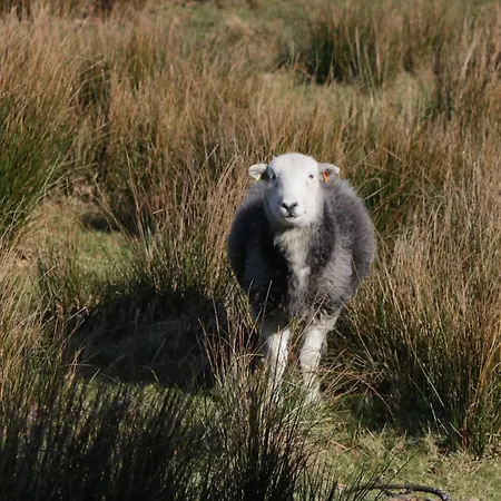 Fellfoot Nyaraló
